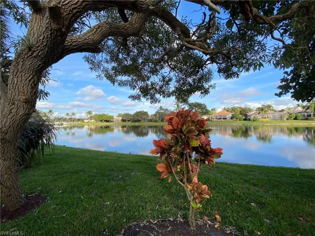 Water view