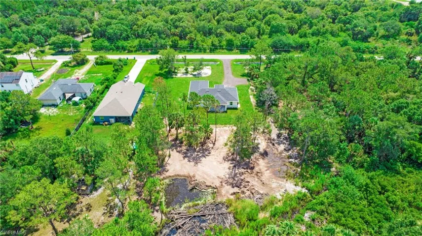 Aerial view of a forest