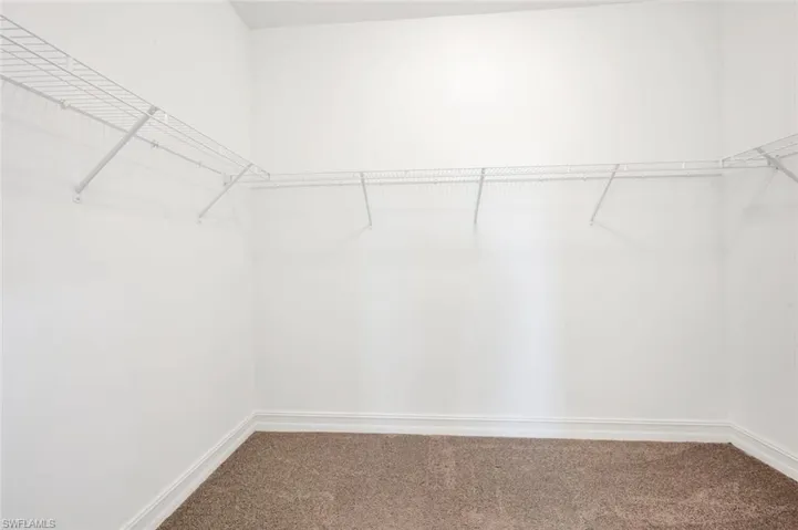 Spacious closet featuring carpet flooring