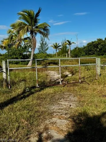 View of gate