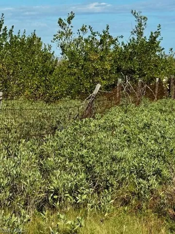 View of undeveloped land