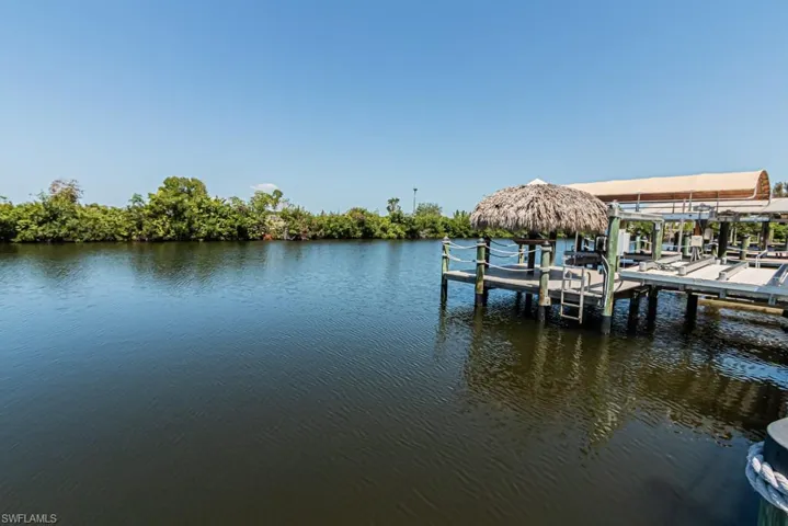 yes, manatees do swim here!