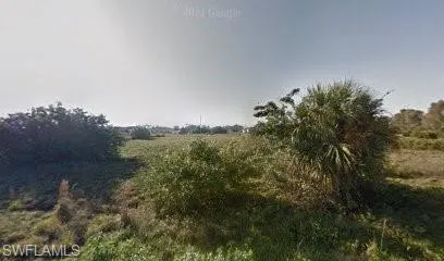 View of nature