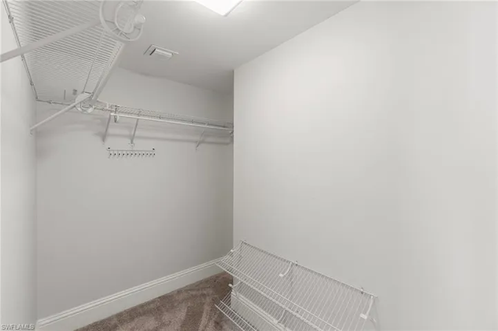 Spacious closet with carpet floors
