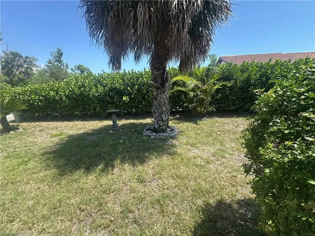 View of green lawn