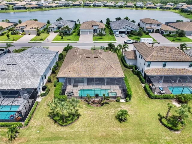 Backyard Bird's Eye View