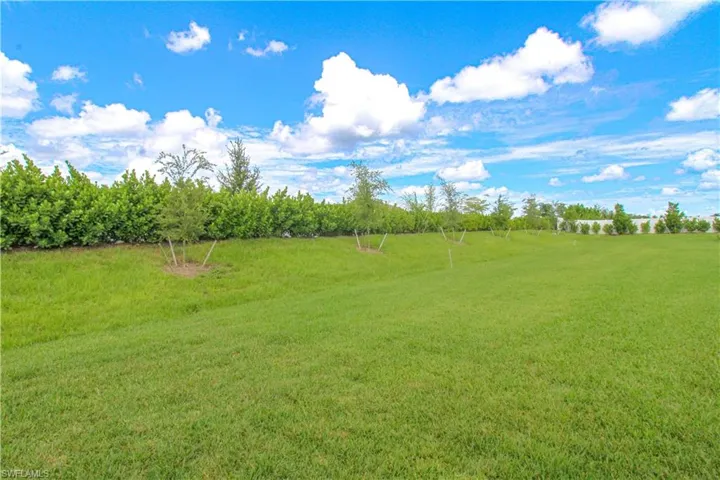 View of yard with a rural view