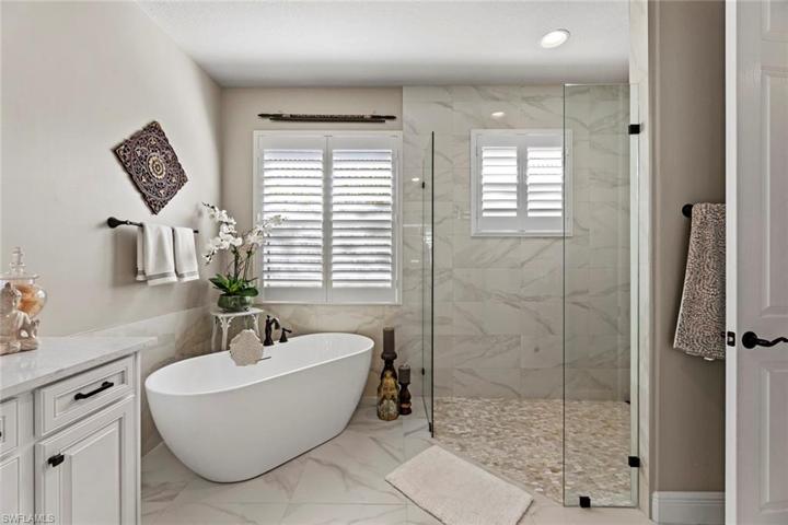 Free standing tub and walk-in shower