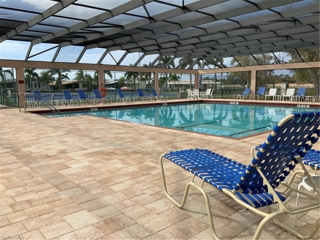 Olympic Pool