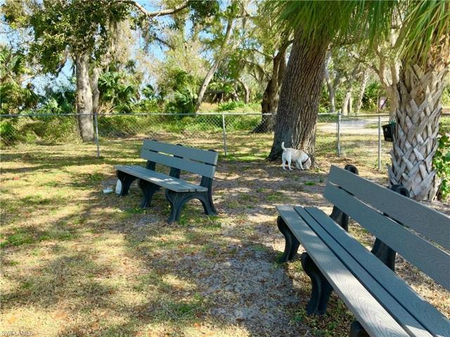 Fenced "Off Leash" Dog Park