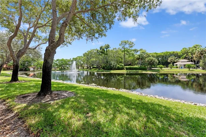 Water view