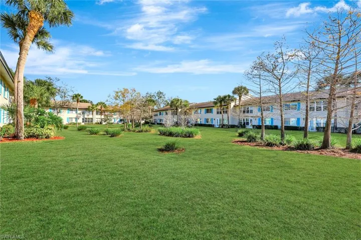 View of grassy yard