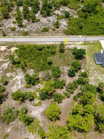 Expansive land parcel featuring natural vegetation and direct road frontage