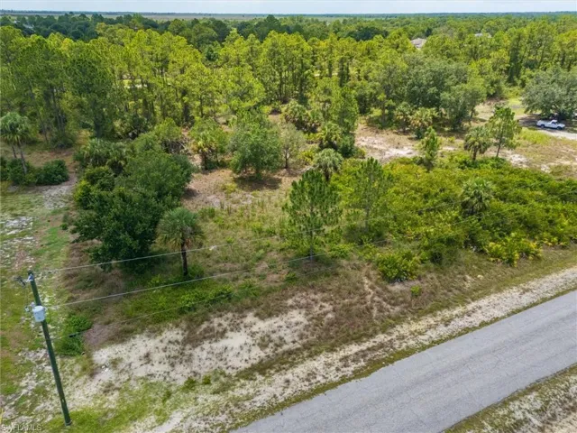 Expansive parcel featuring diverse mature tree coverage, including pines and palm trees