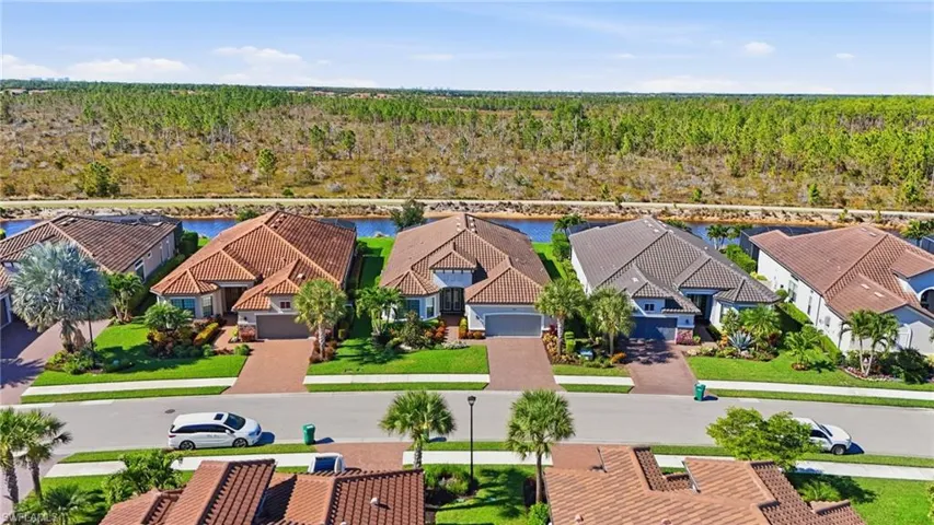 Aerial view of residential area with a forest