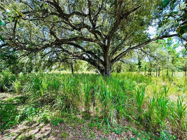 4743 14th St Sw, Lehigh Acres, Florida 33973