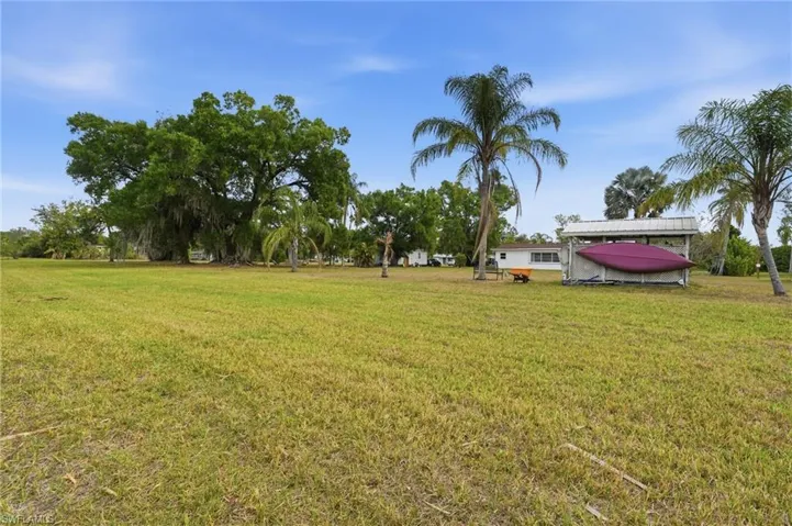 View of grassy yard