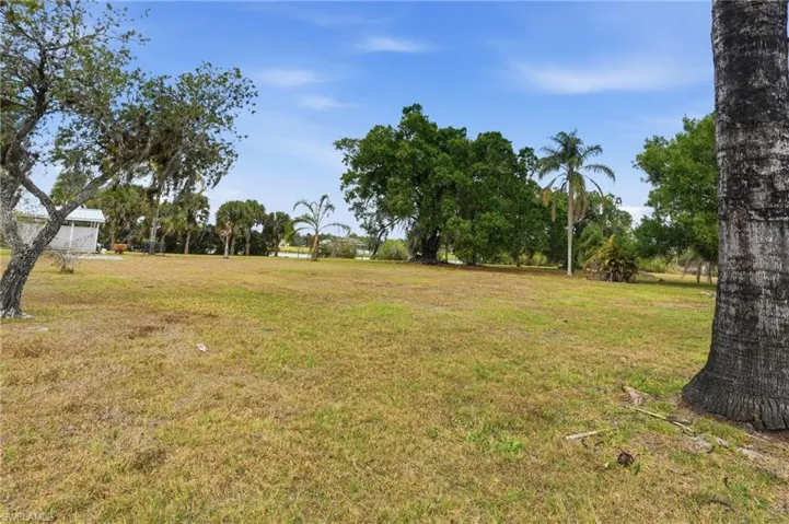 View of grassy yard