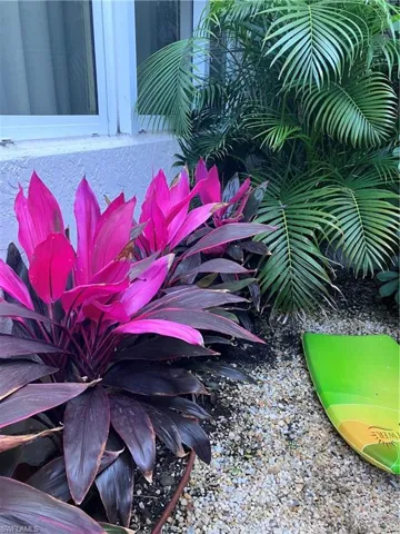 Lush landscaped view of private patio