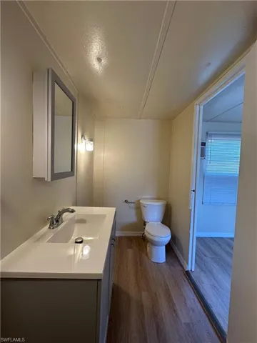 Bathroom with vanity and dark wood-type flooring