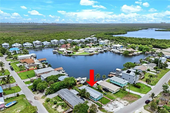 Aerial view of residential area featuring a forest and a large body of water