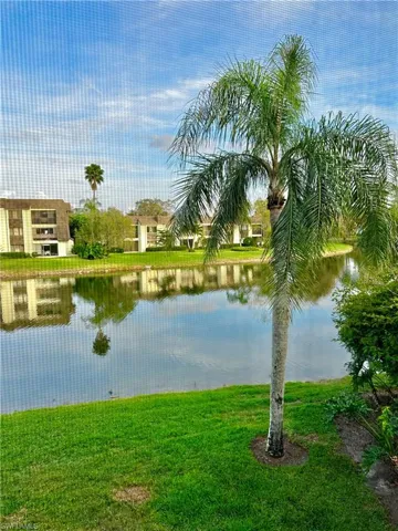 View from lanai