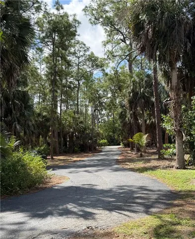 View up Driveway