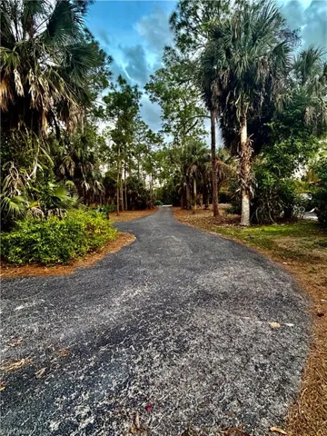 View of Drive from House