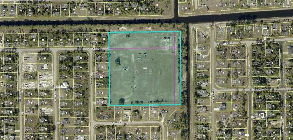 1053 Gladys St, Lehigh Acres, Florida 33974