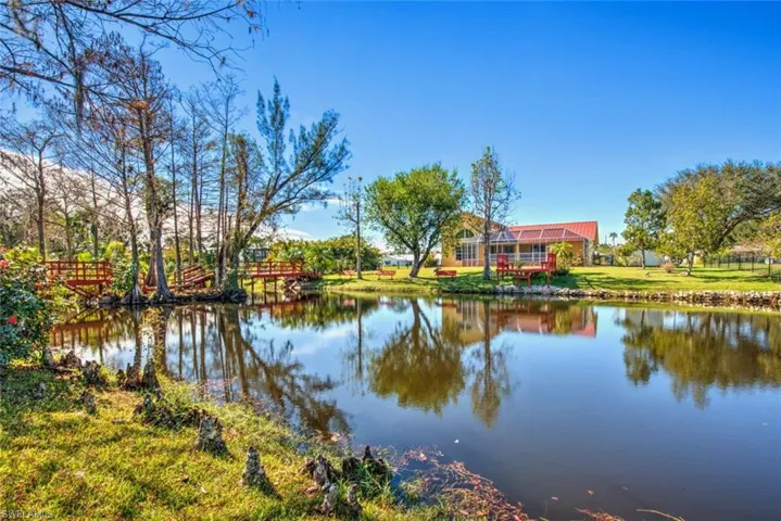 Water view