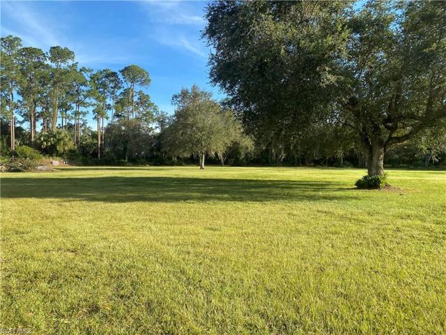 Back pasture