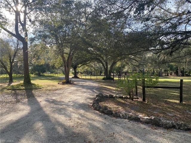 Driveway