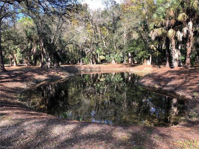 Pond
