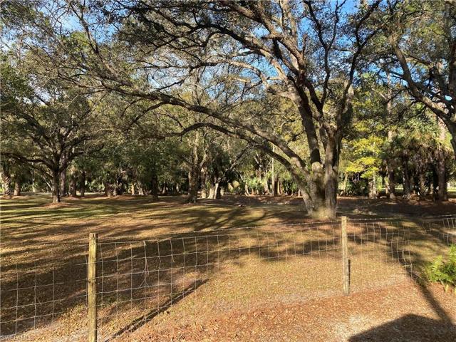 Front pasture near front driveway gate