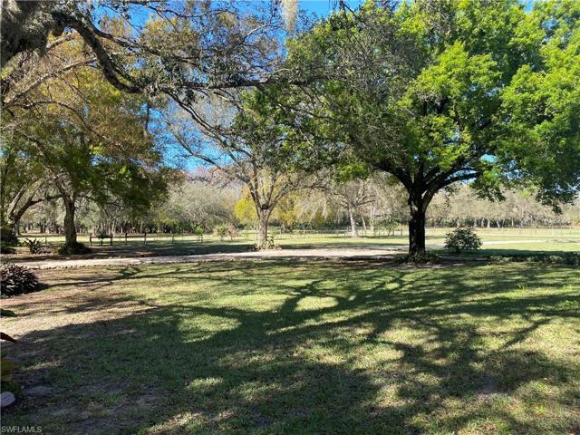 Front yard