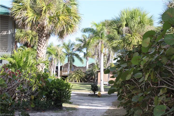Walking Paths