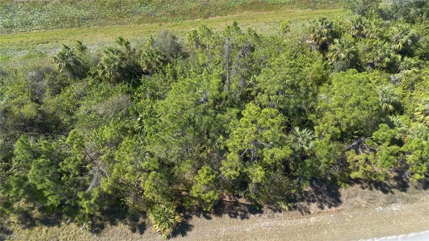 Birds eye view of property featuring a view of trees