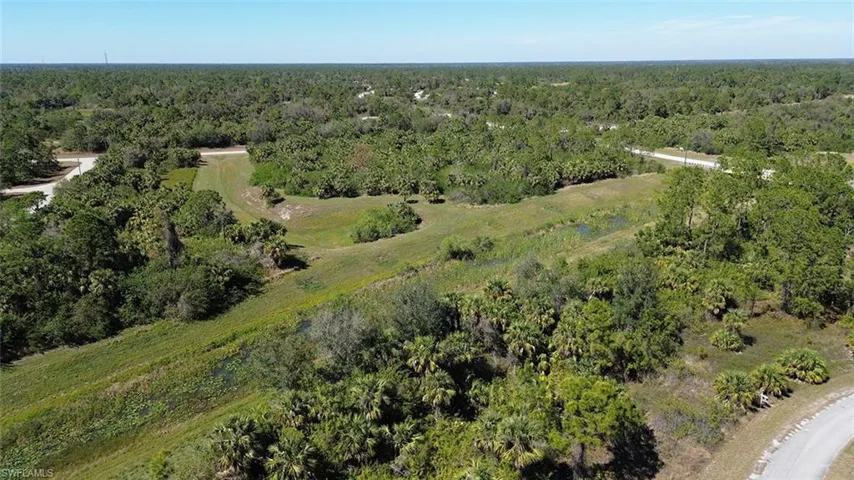 Drone / aerial view with a wooded view