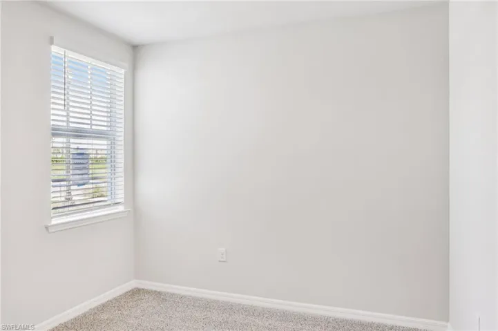Empty room featuring carpet floors, baseboards, and plenty of natural light
