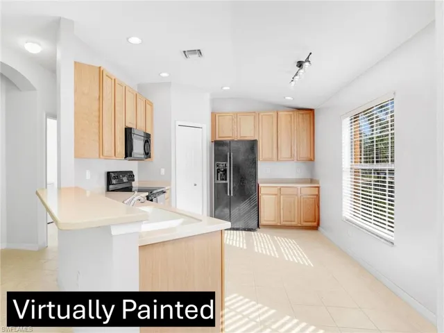 VIRTUALLY PAINTED