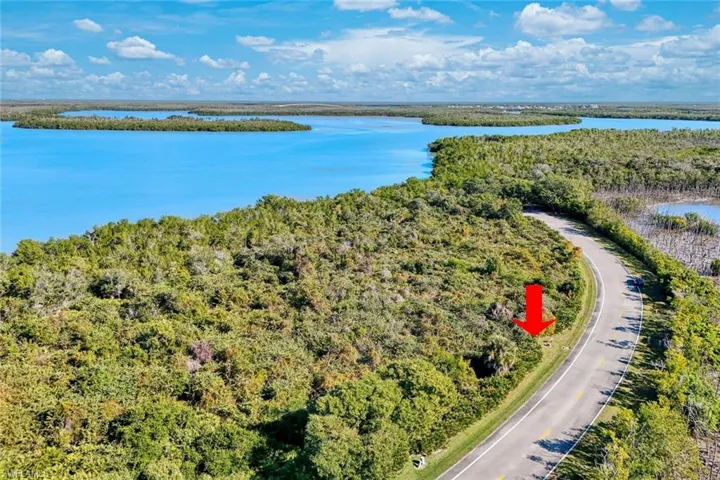Drone / aerial view of a forest and a nearby body of water