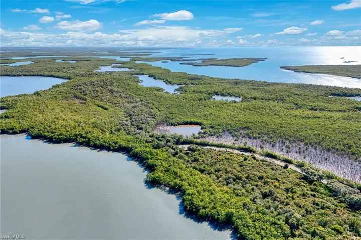 Aerial view of a large body of water and a heavily wooded area
