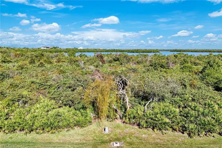 Aerial view of a forest