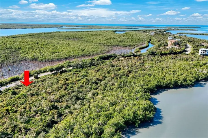 Bird's eye view of a forest and a nearby body of water