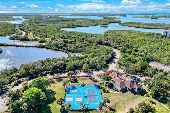 Bird's eye view of a forest