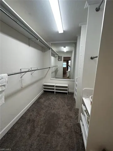 Walk-in closet featuring carpeted flooring, extensive built-in shelving, multiple hanging rods, and a full-length mirror