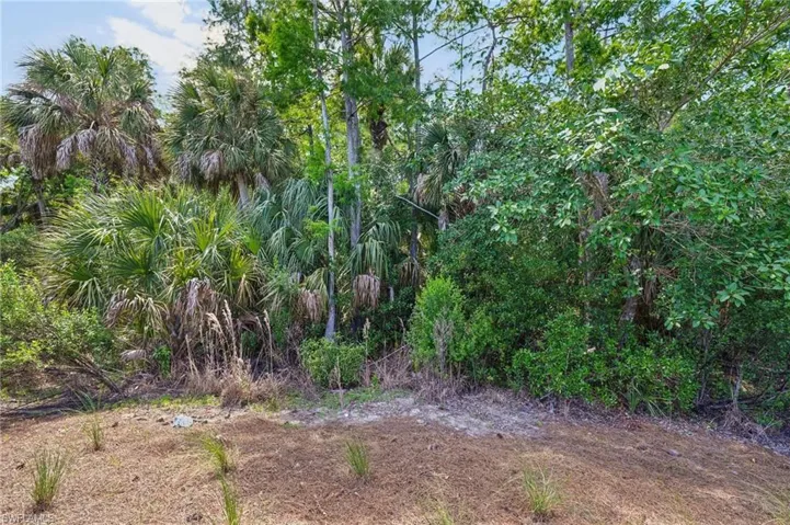 10395 Ventana Ln, Naples, Florida 34120