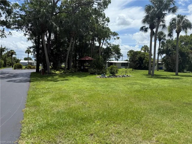 Dog walking area