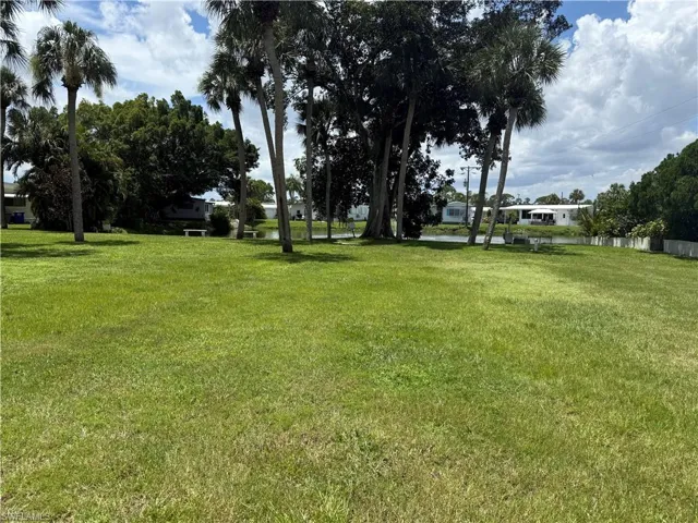 Dog walking area