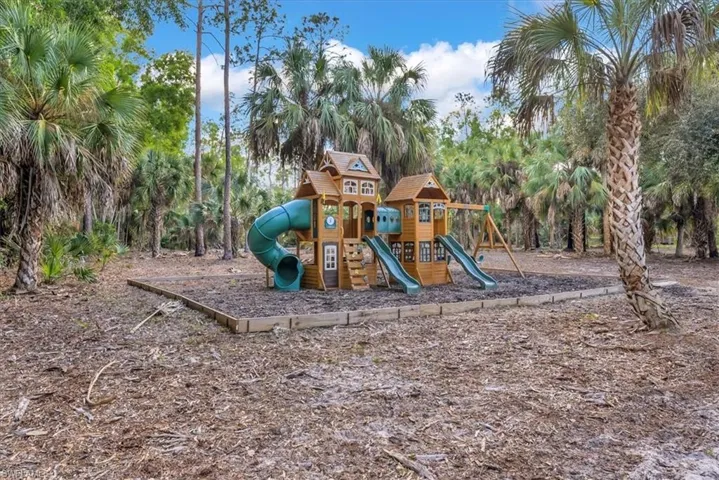 Play Structure